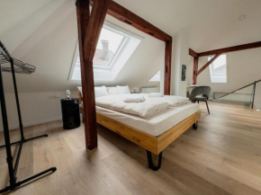 Maybach Apartments - Modernes & zentrales Studio in Altstadtvilla - Bodenseenähe - Parkplatz - Netflix